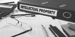 Intellectual Property Law