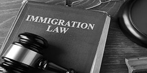 Immigration law